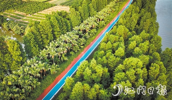 江海區(qū)鄉(xiāng)村綠廊碧帶串聯(lián)多個(gè)公園和自然景觀區(qū)，成為市民休閑娛樂的好去處。