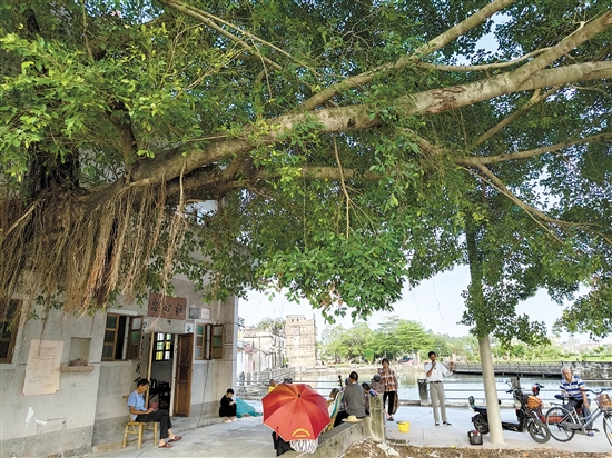 “倉東計劃”不僅希望把遺產(chǎn)保護好，還希望傳統(tǒng)的生活方式、生活環(huán)境保留下來。