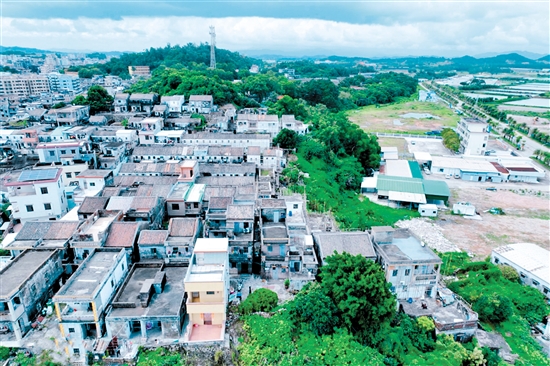 經(jīng)過改造后，鯤鵬村的舊房屋（上圖）披上具有海洋元素的“外衣”，村容村貌明顯改善。