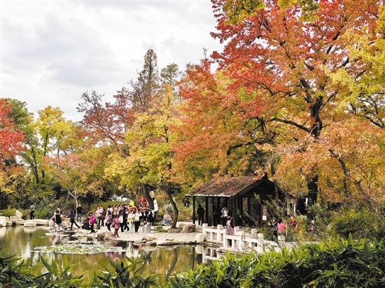 天平山秋色十分醉人。