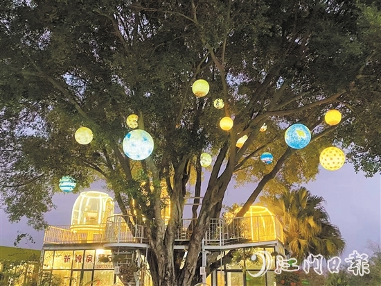 臺山新娘房農(nóng)場餐廳內(nèi)設有當下流行的休閑元素星空房。