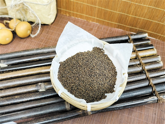 卯兔——菟絲子