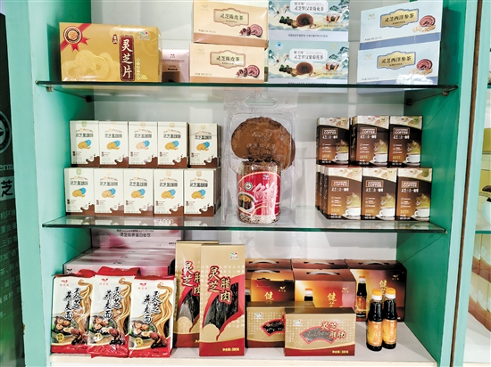 琳瑯滿目的靈芝類產(chǎn)品。