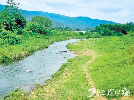 鶴城鎮(zhèn)萬和村河灘草地露營點。