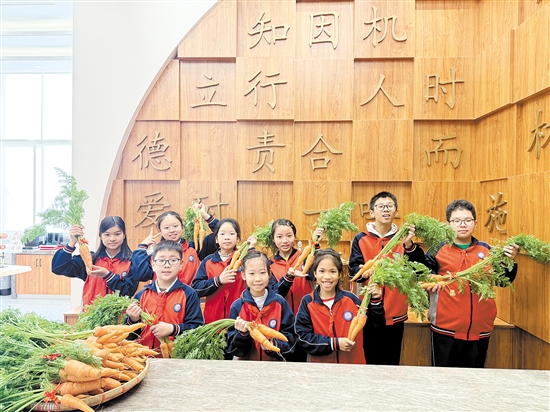 江海區(qū)景賢小學(xué)寒假志趣作業(yè)獲獎(jiǎng)學(xué)生收到了該校學(xué)生親手栽種的胡蘿卜。