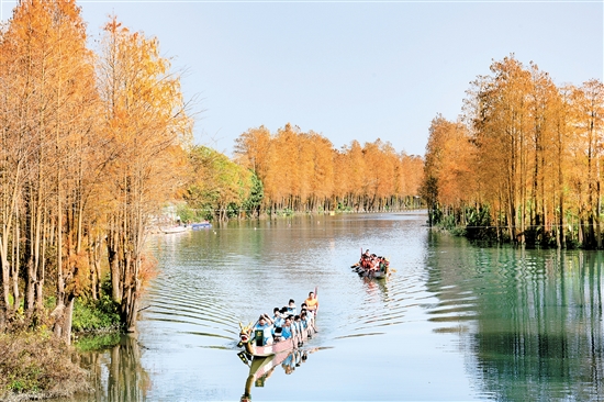 禮樂龍舟訓練基地風景如畫。