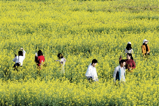 都市農(nóng)業(yè)生態(tài)園一年四季都游人如織。