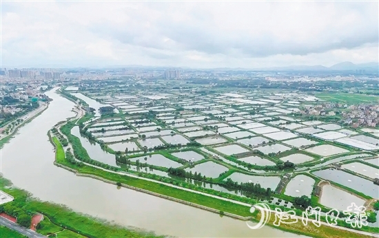 古勞鎮(zhèn)發(fā)動(dòng)魚塘養(yǎng)殖戶開展魚塘清淤，推動(dòng)魚塘養(yǎng)殖增產(chǎn)增收。