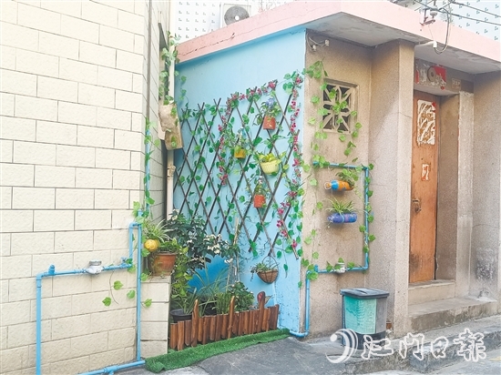 家門口的立體小花園為禾岡村注入生機(jī)與活力。