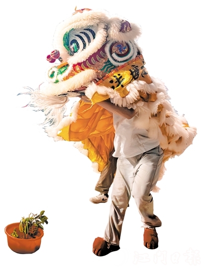 花炮會上，醒獅采青表演十分精彩。