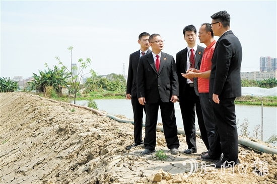 執(zhí)行法官在田間地頭向當(dāng)事人了解案情。