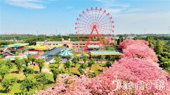 依托禮樂街道獨(dú)特旅游資源，長廊生態(tài)園開發(fā)研學(xué)旅游項(xiàng)目，賦能“江門三點(diǎn)三精彩之旅”品牌建設(shè)。