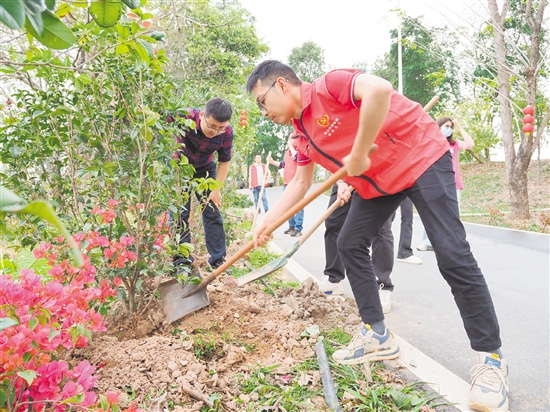 大家分工明確，一起植樹添新綠。