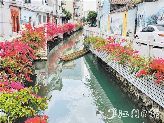 外海街道直沖村一河兩岸花團錦簇，美景如畫。