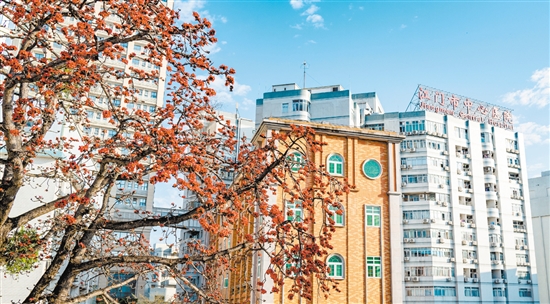 江門市中心醫(yī)院將不斷優(yōu)化就醫(yī)流程和環(huán)境。