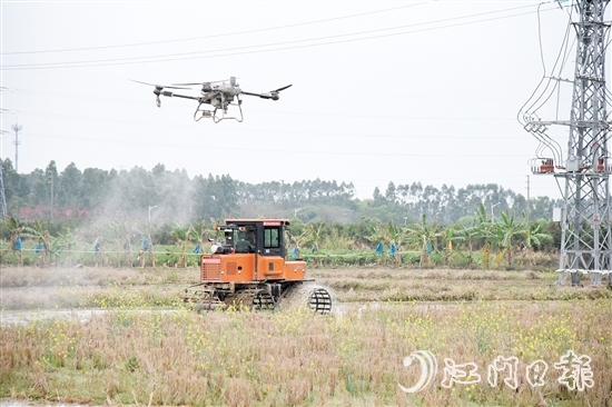無人機(jī)、水旱耕作機(jī)協(xié)作開展春耕生產(chǎn)。