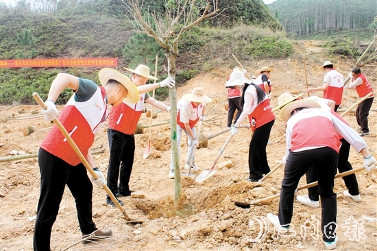 在植樹活動(dòng)中，大家揮鍬培土，干勁十足，為恩平增添綠意，為全運(yùn)會(huì)舉辦貢獻(xiàn)自己的力量。