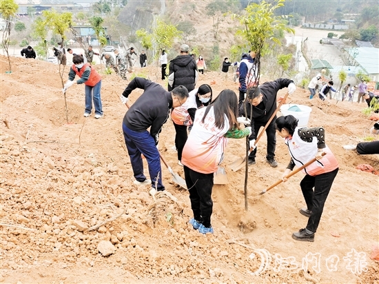 2025年蓬江區(qū)鄉(xiāng)村綠化主題植樹活動在五洞村舉行，黨員群眾攜手種下一棵棵樹苗。