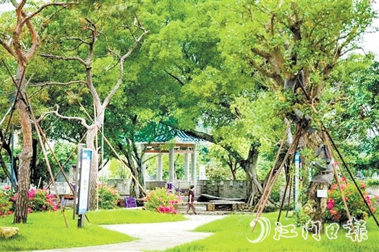 去年，鶴山開展城鄉(xiāng)一體綠美行動，著力推進(jìn)縣鎮(zhèn)村綠化攻堅，累計種植苗木14.8萬株。