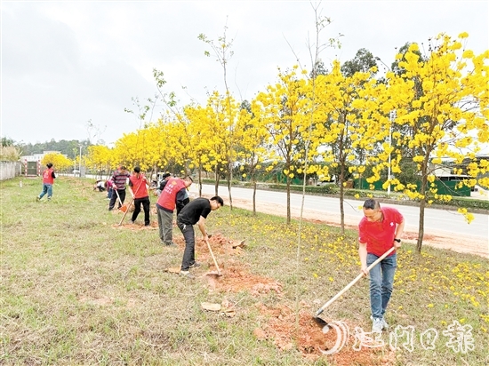 宅梧鎮(zhèn)組織開展植樹活動。