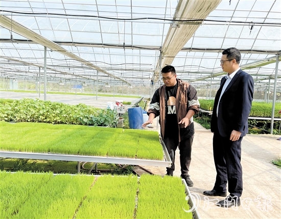 臺山農(nóng)商銀行客戶經(jīng)理上門對接農(nóng)戶春耕融資需求。