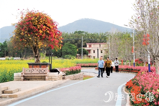 在鶴城鎮(zhèn)城西村忠心崗，油菜花、金魚草、三角梅競相開放。