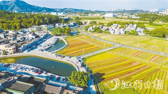 春賞格桑花、夏觀荷塘月、秋品稻花香、冬聞桂花釀的“全季旅游”模式，讓桂水村的知名度不斷攀升。