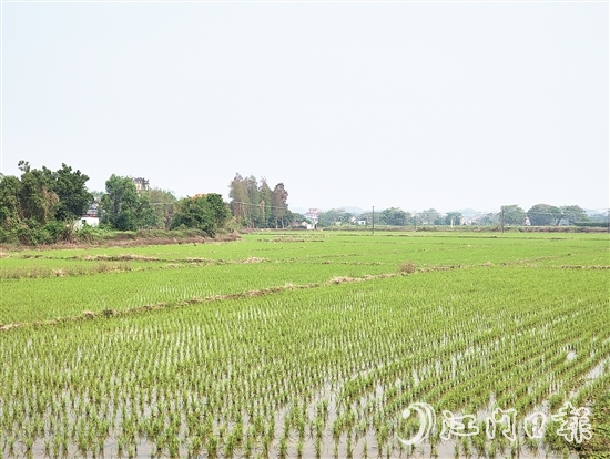 2024年，塘口新增耕地超49公頃，為鄉(xiāng)村振興注入了新動能。