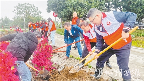 黨員干部、村民代表合力栽下樹苗，為公路沿線增添一抹生機。
