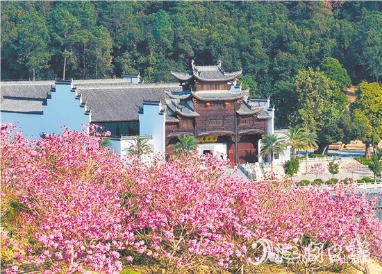 共和鎮(zhèn)來蘇村利用去年擂臺比武獲得的獎勵資金進行一系列鄉(xiāng)村建設。圖為來蘇山水人家文旅項目。