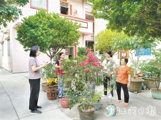 江海區(qū)鄉(xiāng)村綠化工作深入人心。圖為禮樂街道駐新華村干部、村“兩委”干部入戶開展鄉(xiāng)村綠化評分。