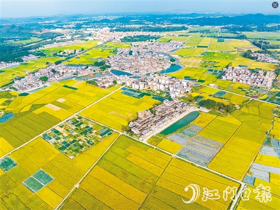恩平土壤肥沃，富含“硒”元素，該市正努力推動(dòng)讓“硒”資源轉(zhuǎn)化為富民強(qiáng)市的“硒”經(jīng)濟(jì)。圖為恩平市牛江鎮(zhèn)。