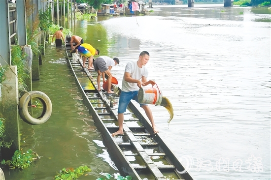 掏泥沙、舀泥漿，長沙街道愛民村委會杜澄村村民分工合作，“請”出河中的“金龍”。