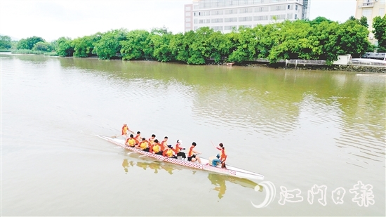 新會(huì)泓達(dá)堂陳皮龍舟隊(duì)積極備戰(zhàn)。