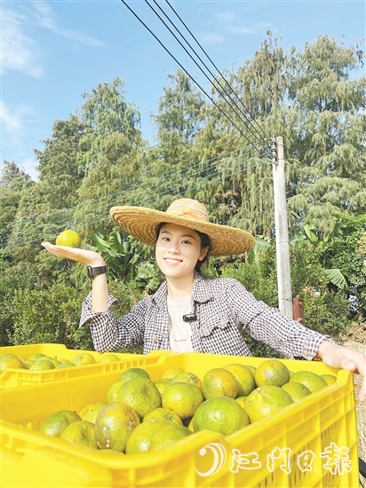 劉雪菲不斷探索新會柑種植、新會陳皮陳化倉儲的更多可能。