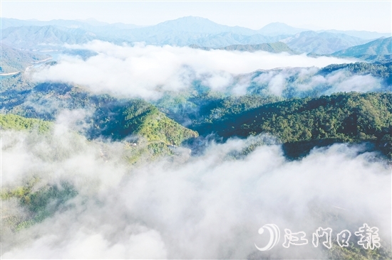 七星坑保護區(qū)的森林覆蓋率高達98%，負(fù)氧離子濃度年平均值達2192個/立方厘米，遠(yuǎn)超世界衛(wèi)生組織界定的清新空氣標(biāo)準(zhǔn)（≥1000個/立方厘米）。