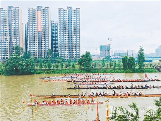 在長沙街道杜澄片區(qū)的蒼江河畔，每逢端午時(shí)節(jié)，十余艘龍舟劈波斬浪，兩岸人聲鼎沸。