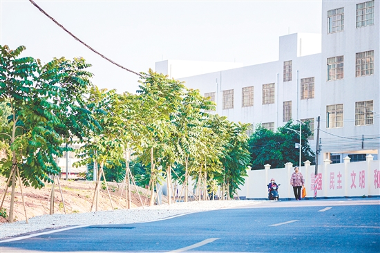 昆中村實施主干道環(huán)境提升項目。