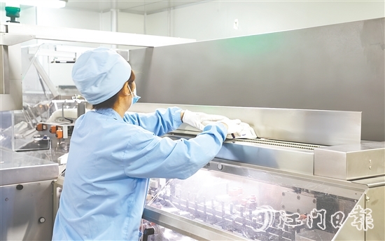 在生物醫(yī)藥產(chǎn)業(yè)領(lǐng)域，開平市聚焦生產(chǎn)制造端，在珠江西岸率先構(gòu)建起“原料藥—化藥制劑—醫(yī)療器械—流通服務(wù)—終端需求”的垂直整合型產(chǎn)業(yè)生態(tài)。圖為廣東彼迪藥業(yè)有限公司生產(chǎn)車間。