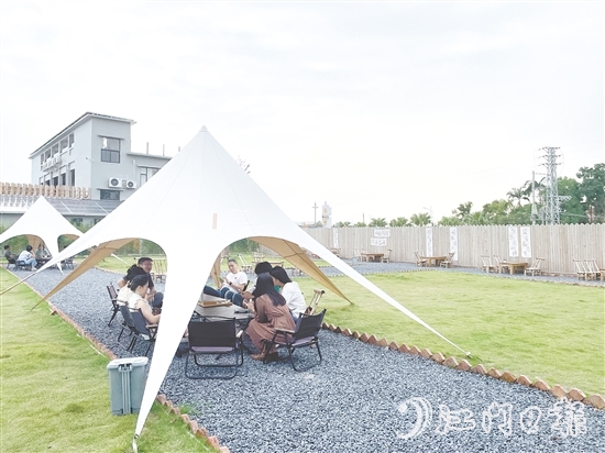 聞著稻香喝咖啡、住民宿，成為不少城市人放松身心的選擇。