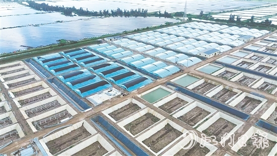 汶村鎮(zhèn)今年新引進(jìn)華辰水產(chǎn)，這是集研發(fā)、規(guī)?；B(yǎng)殖、生產(chǎn)于一體的現(xiàn)代化項(xiàng)目。