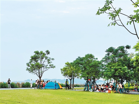 每到周末及節(jié)假日，江門各大公園及露營地成為親子野餐露營的首選之地。