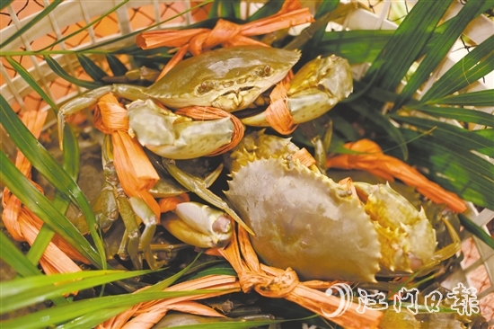 崖門水蟹肉少水多，最適合原只清蒸后用吸管“啜”著吃。