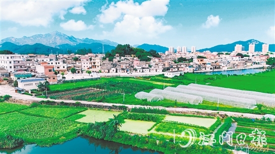 汶村鎮(zhèn)沙奇村通過深耕特色農(nóng)業(yè)、強(qiáng)化黨建引領(lǐng)、創(chuàng)新基層治理，實(shí)現(xiàn)從“臟亂差”到“綠富美”的華麗蝶變。