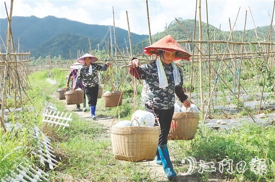 “潭碧冬瓜”地理標(biāo)志專用標(biāo)志的核準(zhǔn)使用既是對(duì)潭碧冬瓜產(chǎn)品質(zhì)量的高度認(rèn)可，又有助于保護(hù)和傳承地方特色產(chǎn)品。