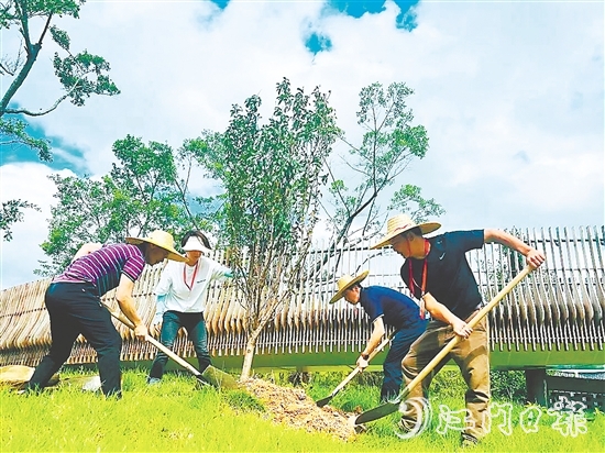 會(huì)城街道人大代表在小鳥天堂國家濕地公園種下40多株桃花樹苗。