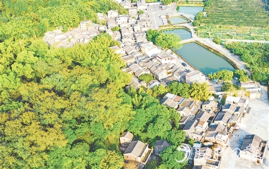 大江鎮(zhèn)石橋村華僑資源豐富，村內(nèi)有成片僑房形成的僑韻景觀。