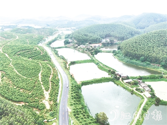 鶴山依托區(qū)位、資源、項(xiàng)目等核心優(yōu)勢(shì)，大力發(fā)展特色戶(hù)外運(yùn)動(dòng)。