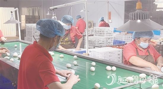 赤水鎮(zhèn)現(xiàn)已形成集種鴨繁育、生態(tài)養(yǎng)殖、飼料供應(yīng)、肉禽屠宰、蛋品加工、冷鏈物流于一體的完整產(chǎn)業(yè)鏈，產(chǎn)業(yè)總產(chǎn)值超5億元。