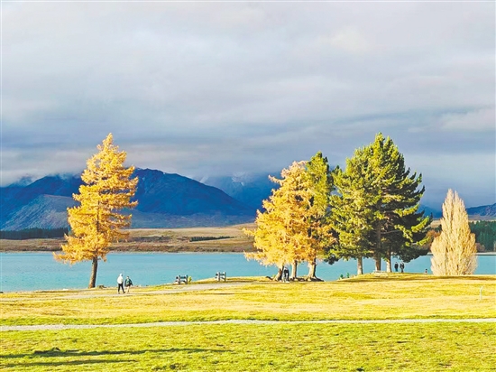 暑假出境游受熱捧。